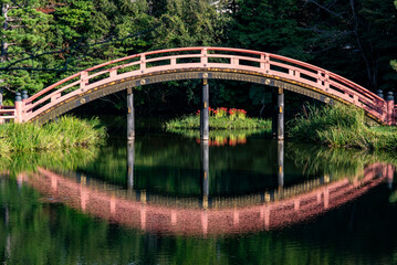 横浜25930　称名寺4　曼珠沙華
