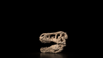 Fototapeta premium The T rex Skull for Education Or sci concept 3d Rendering.