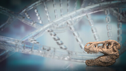 The T rex Skull for Education Or sci concept 3d Rendering.