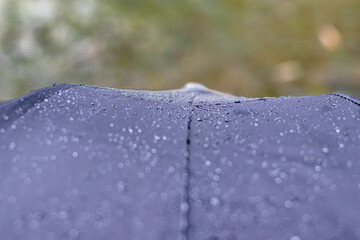 Top of Black Umbrella with Raindrops, Nature Bokeh, Blurred Rainy Outdoor Scene