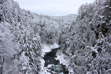 Winter landscape with snow-covered trees along a river in Quechee Gorge, Vermont