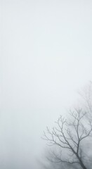 Obraz premium A stark, leafless tree branch network gently fades into a thick, swirling white mist, presenting a serene and mysterious natural landscape with significant negative space.