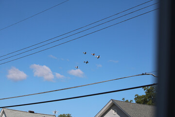 Airplanes in Formation over Neighborhood