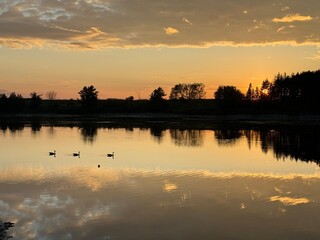 Naklejka premium sunset over the river