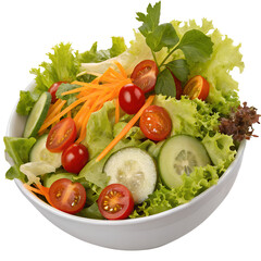 Garden Salad on transparent background