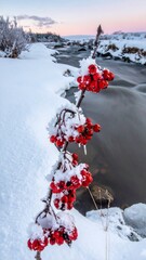 Winter berries by a frozen stream