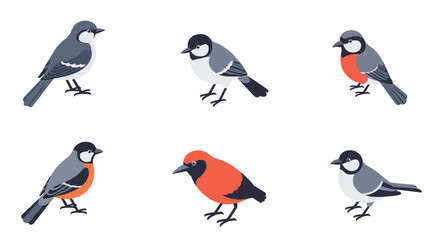 Obraz premium Colorful flat style birds on white background