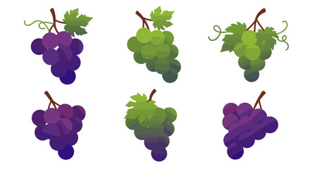 Colorful collection of grapes with leaves in various arrangements