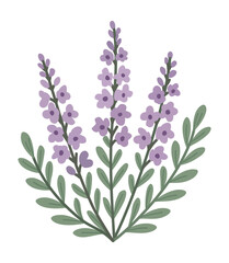 Heather bush. Vector isolated illustration