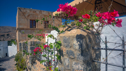 Blooming bougainvillea flowers by old stone house
