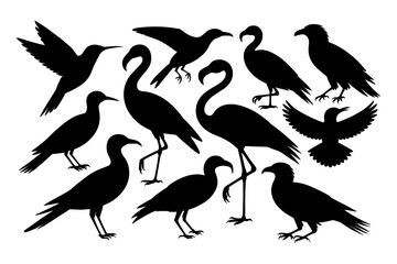 Obraz premium Birds silhouettes vector set, Collection of black isolated of flying birds seagulls against a white background, Beautiful bird flying silhouette set of vector, USA national birds silhouettes - Eagles,