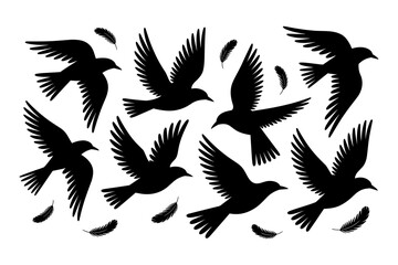 Obraz premium Birds silhouettes vector set, Collection of black isolated of flying birds seagulls against a white background, Beautiful bird flying silhouette set of vector, USA national birds silhouettes - Eagles,