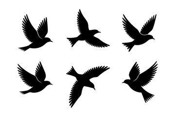 Obraz premium Birds silhouettes vector set, Collection of black isolated of flying birds seagulls against a white background, Beautiful bird flying silhouette set of vector, USA national birds silhouettes - Eagles,