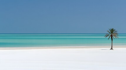 Fototapeta premium Serene Tropical Beach Scene, Palm Tree on Pristine White Sand and Turquoise Water