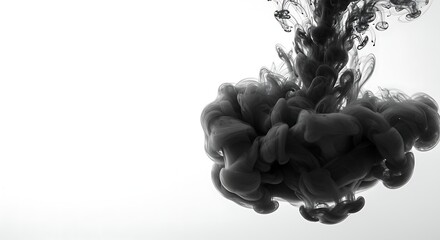 A dramatic explosion of black ink dropped into liquid, forming a beautiful and mysterious fluid sculpture. Abstract black and white art on a clean background