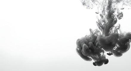 Abstract background of black acrylic paint dropping into water, creating a dynamic, smoky cloud. Isolated on a white background with copy space
