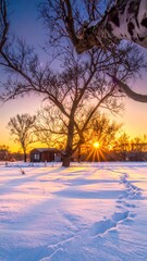 Winter sunset over snowy landscape
