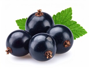 Glossy black currants cluster with textured green leaf detail