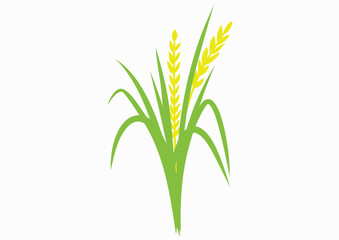 Fototapeta premium A stylized illustration of rice plants with green leaves and yellow grains, isolated on white.