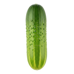 A single fresh green cucumber isolated on a transparent background, studio shot