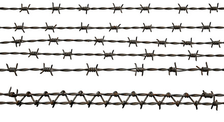 Multiple strands of barbed wire fence material showing sharp points and twisted metal against a white background