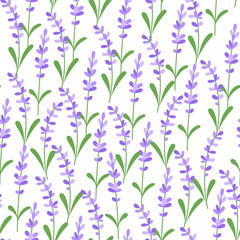 A seamless pattern of purple lavender sprigs on a white background