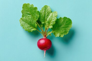 Fresh radish with vibrant green leaves on a bright spring background