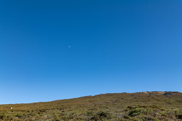 Haleakalā / East Maui Volcano, is a shield volcano. Hawaiian Island of Maui. Haleakala National Park. Hosmer Grove Access Road