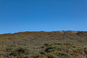 Haleakalā / East Maui Volcano, is a shield volcano. Hawaiian Island of Maui. Haleakala National Park. Hosmer Grove Access Road