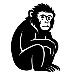 Fototapeta premium Vector illustration of a monkey
