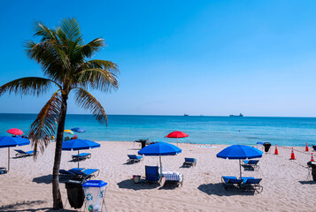 Beach loungers, chairs and beach umbrellas in Fort Lauderdale Beach, with its clear waters and palm trees. Florida, USA, Jan 2019	