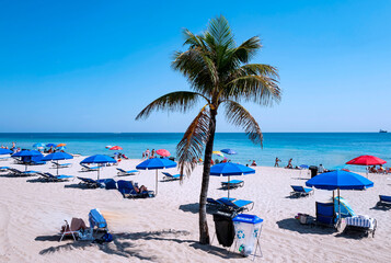 Beach loungers, chairs and beach umbrellas in Fort Lauderdale Beach, with its clear waters and palm trees. Florida, USA, Jan 2019	