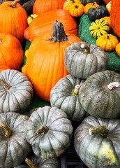 Pumpkins stacked in a shop