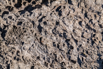 Haloclasty ( salt weathering), Tafoni. Basalt. Napili Bay, West Maui, Hawaii. Lava flows, Honolua Volcanics ( Pleistocene ), West Maui Volcano. 