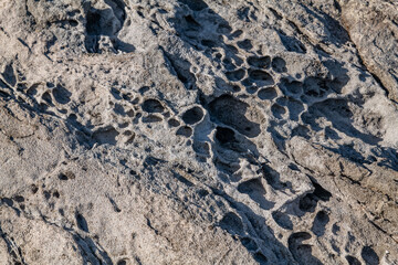 Haloclasty ( salt weathering), Tafoni. Basalt. Napili Bay, West Maui, Hawaii. Lava flows, Honolua Volcanics ( Pleistocene ), West Maui Volcano. 
