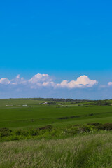 Fototapeta premium Green summer hills and vast blue sky creating a tranquil rural landscape with distant farm buildings