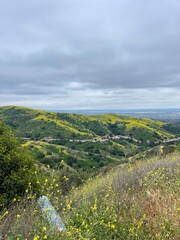 Hillside covered in wild yellow flowers with sweeping views of green valleys.
