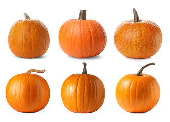 Fresh pumpkins isolated on white, set. Autumn vegetable