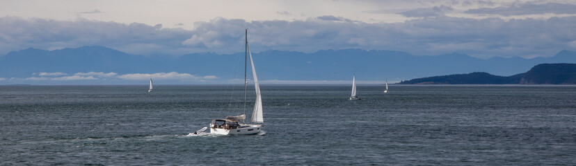 Obraz premium Multiple cruising sailboats transit a windy Rosario Strait going to and from the San Juan Islands
