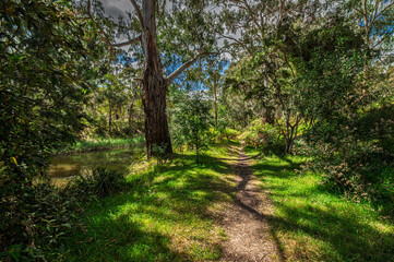  Shady Trail Beside The river