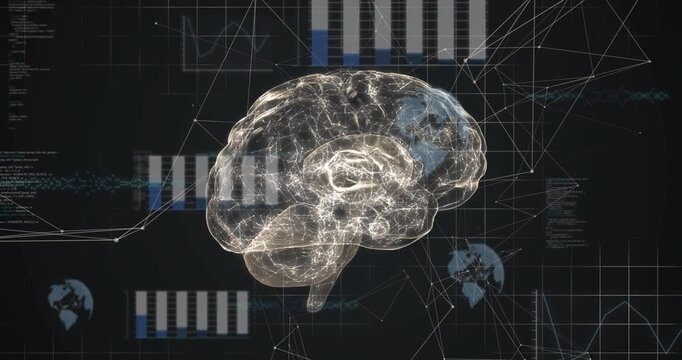 White nodes pulsing starting rotation, 3D brain model spinning as bars adjusting, showing network - Powered by Adobe