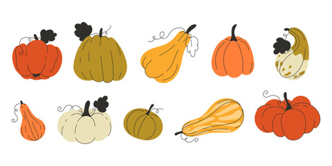 Collection of ten colorful flatdesign pumpkins and gourds
