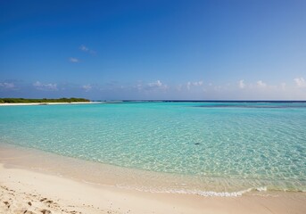 Fototapeta premium Turquoise Paradise: A panoramic view of a pristine tropical beach, where crystal-clear turquoise waters meet a soft sandy shore under a vibrant blue sky, offering a serene and inviting scene.