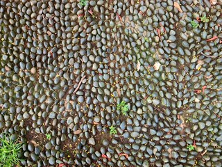 Stone path with natural rocks cemented together for foot therapy walkway in outdoor garden area