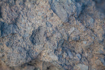 Breccia is a rock composed of large angular broken fragments of minerals or rocks cemented together by a fine-grained matrix. Napili Bay, West Maui, Hawaii.