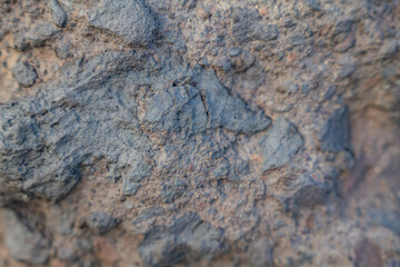 Breccia is a rock composed of large angular broken fragments of minerals or rocks cemented together...