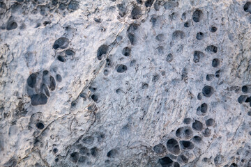 Haloclasty ( salt weathering), Tafoni. Basalt. Napili Bay, West Maui, Hawaii. Lava flows, Honolua Volcanics ( Pleistocene ), West Maui Volcano.

