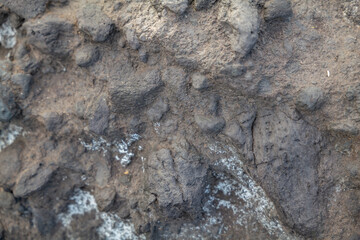 Breccia is a rock composed of large angular broken fragments of minerals or rocks cemented together by a fine-grained matrix. Napili Bay, West Maui, Hawaii.