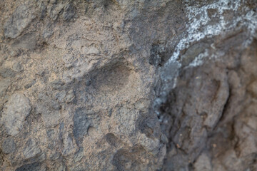 Breccia is a rock composed of large angular broken fragments of minerals or rocks cemented together by a fine-grained matrix. Napili Bay, West Maui, Hawaii.