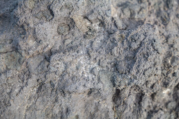 Breccia is a rock composed of large angular broken fragments of minerals or rocks cemented together by a fine-grained matrix. Napili Bay, West Maui, Hawaii.
